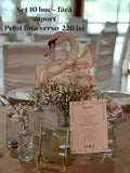 Set accesorii lebada