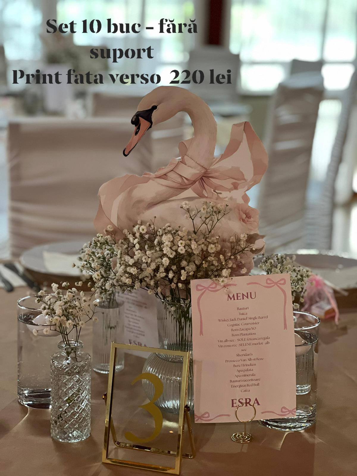 Set accesorii lebada