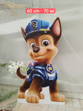 Catel Chase - Paw Patrol