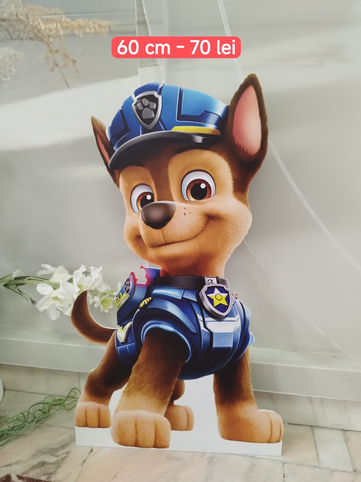Catel Chase - Paw Patrol