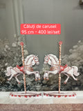 Set caluti de carusel