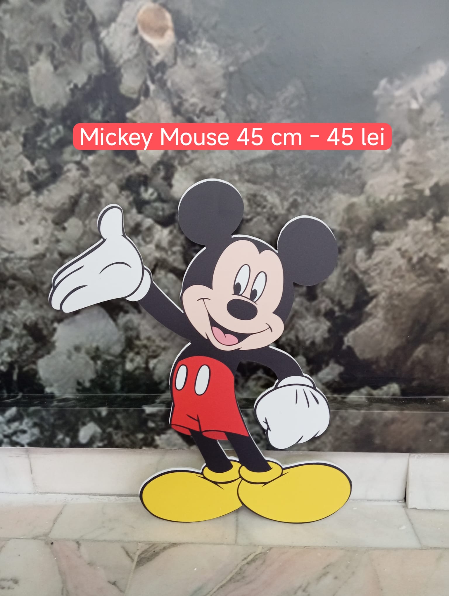 Mickey mouse