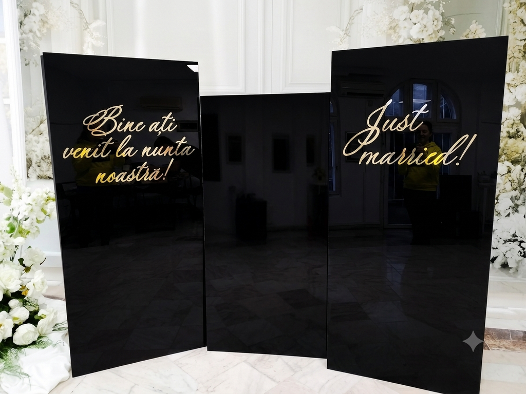 Set panouri plexiglas negru
